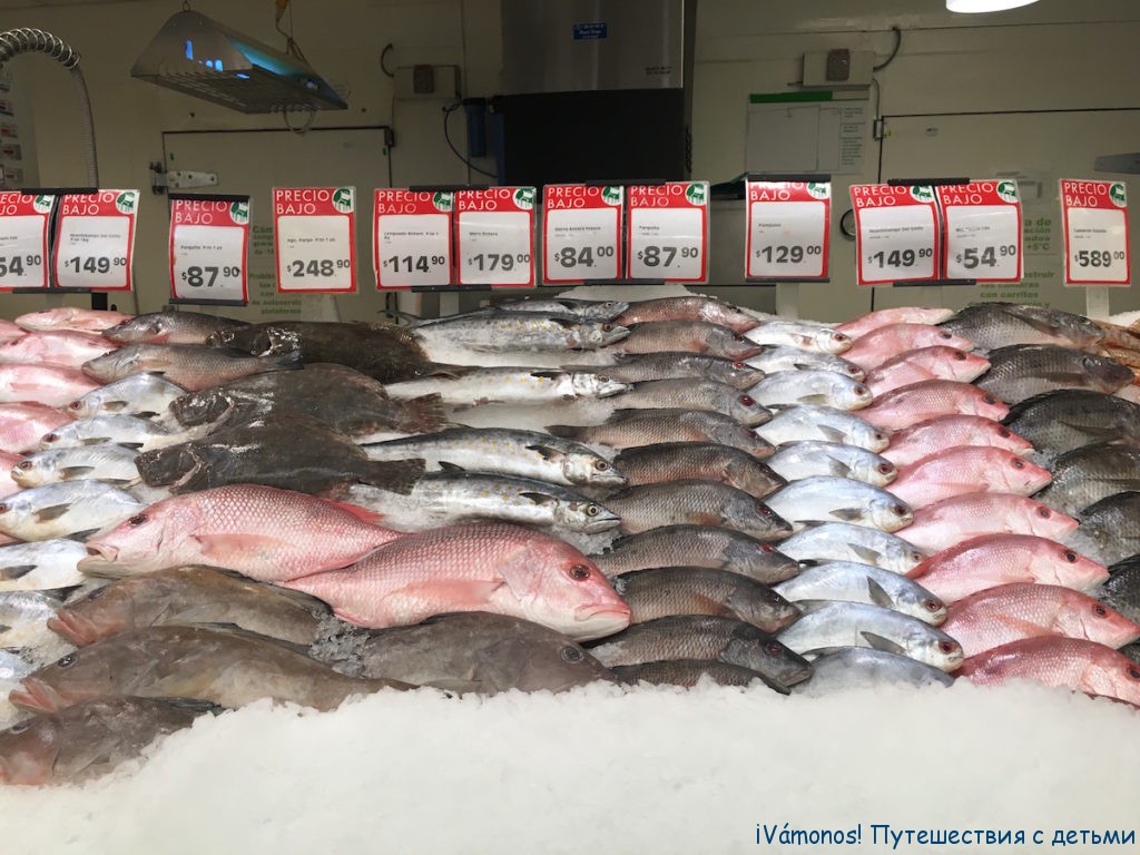 Цены в Мексике на продукты, отели, жилье, транспорт