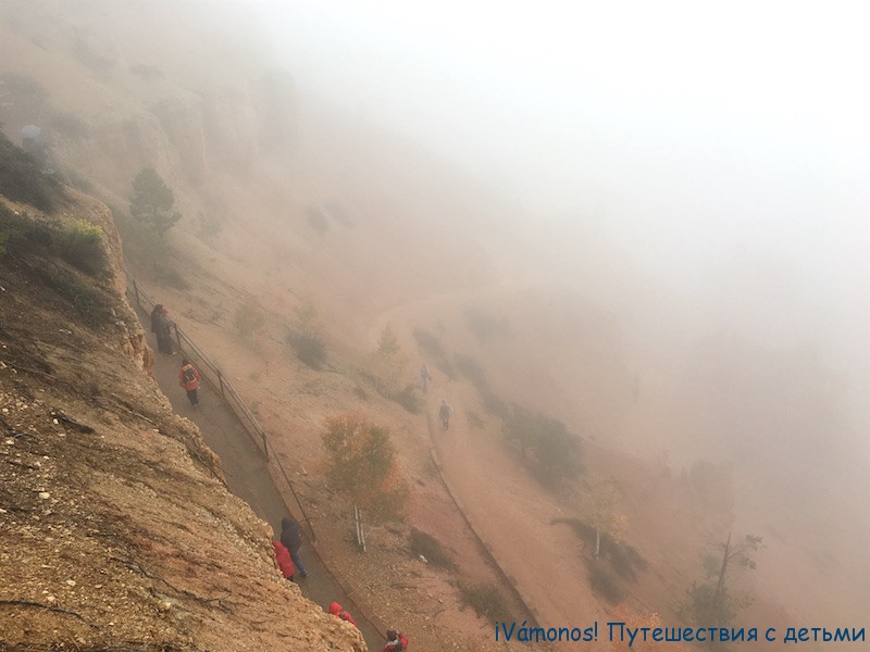 брайс каньон в тумане