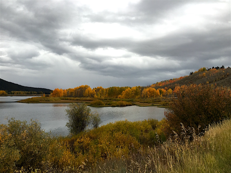 Oxbow bend в Гранд-Титон